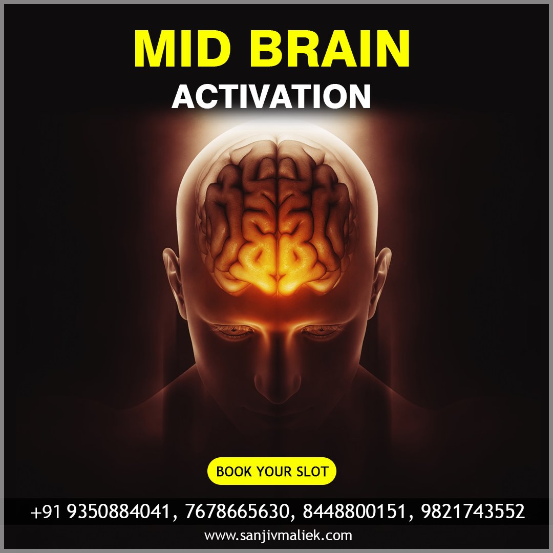 Child mid Brain Activation Workshop